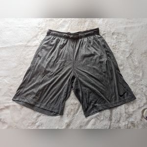 Nike dri fit shorts